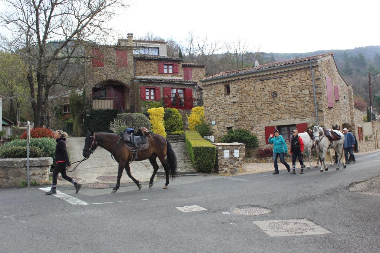 Le Pailler De La Planque Daire Camplong Dış mekan fotoğraf